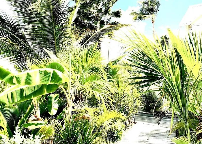 Villa Plage Piscine Terrasse Privee Citerne De Securite Baie Nettle