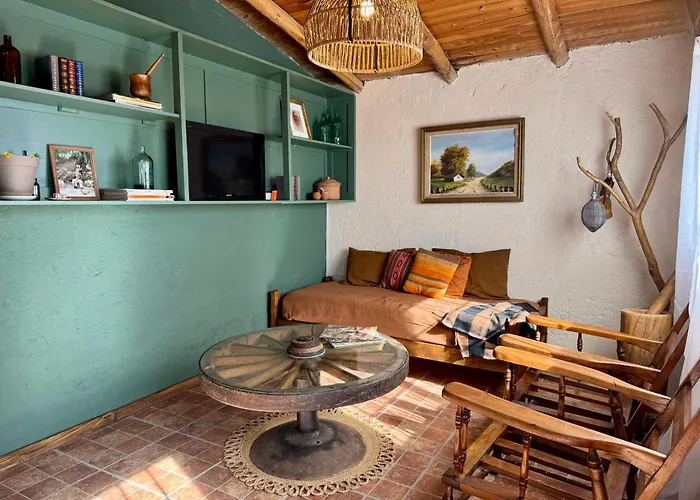 Ruca Raiz - Casa De Campo En Finca Familiar Con Vista A La Montana, Tupungato