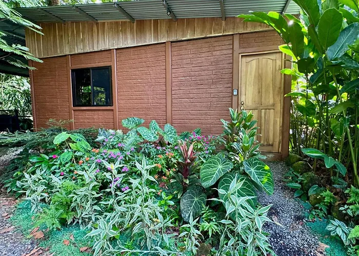The Frog House Apartment La Fortuna