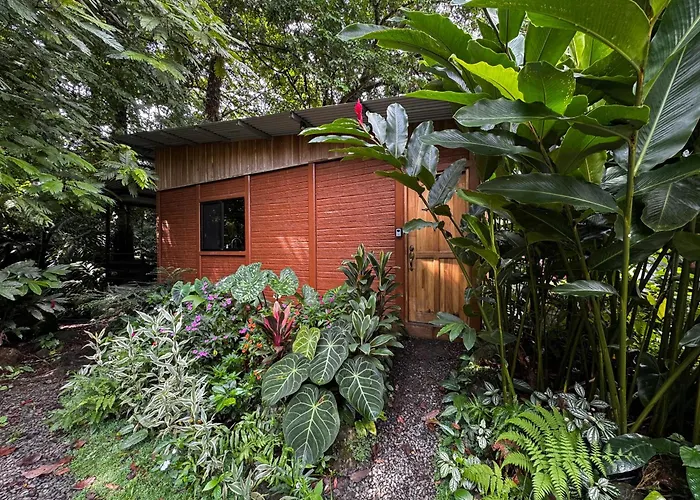 The Frog House Apartment La Fortuna