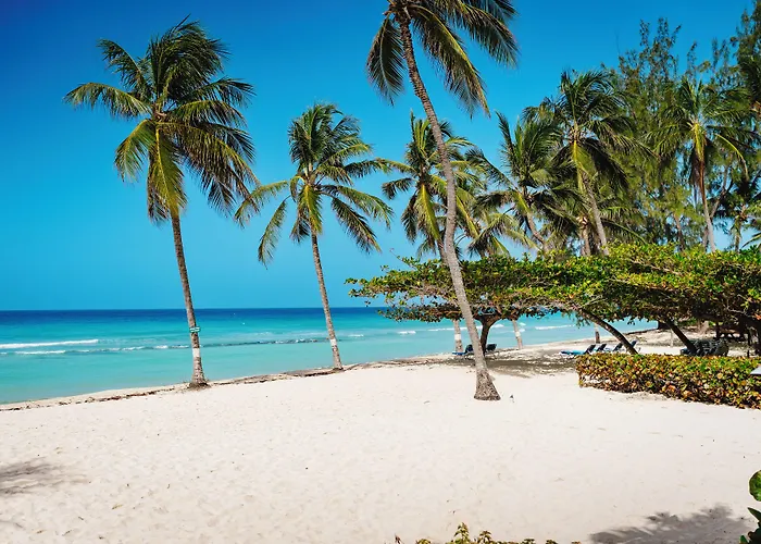Coconut Court Beach Hotel Christ Church