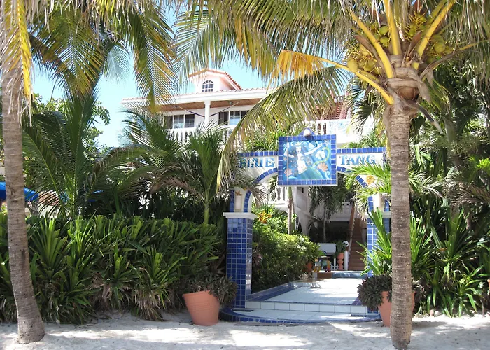 Blue Tang Inn - Beachfront Suites And Pool San Pedro 
