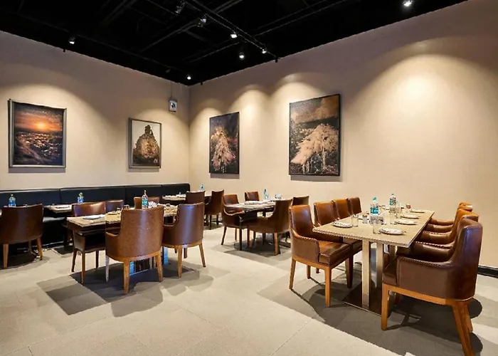 Hotel Asian Plaza Near Delhi Airport New Delhi