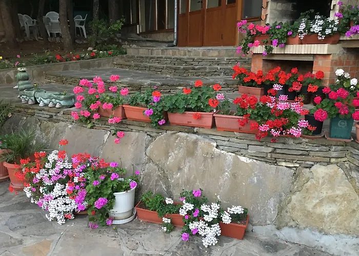 Hotel Zora Sunny Beach