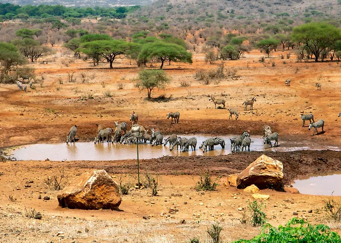 Kilaguni Serena Safari Lodge Tsavo West National Park