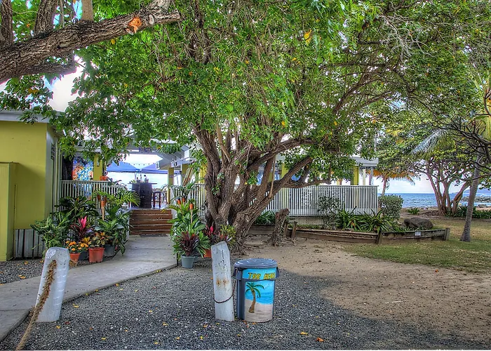 Tamarind Reef Resort Spa & Marina Christiansted