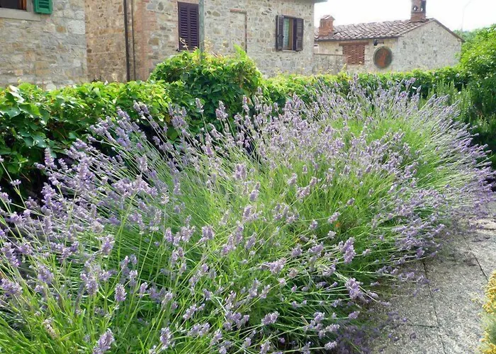 Villa Cristina Castellina in Chianti
