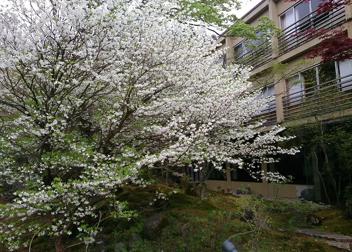 Nikko Hoshino Yado Hotel