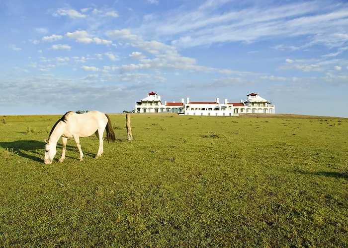 Estancia Vik Jose Ignacio
