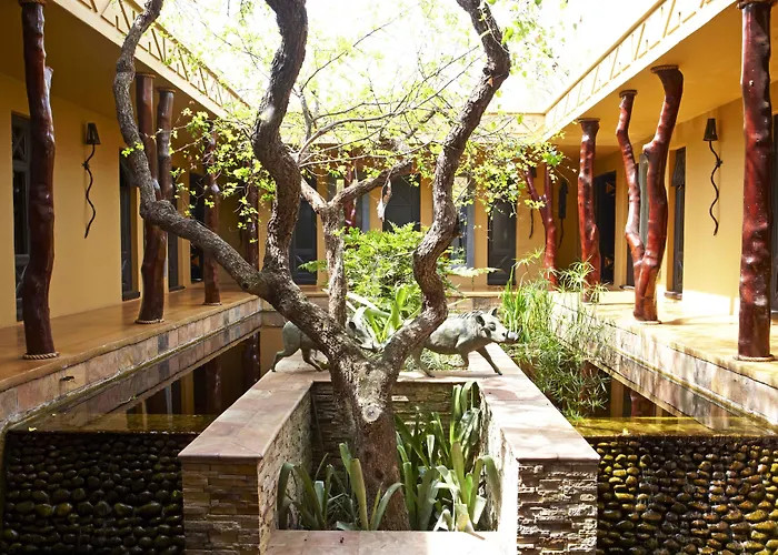 Thanda Safari Hluhluwe