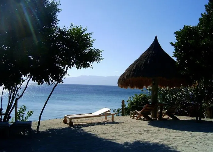 Sea Turtle House Moalboal Hotel
