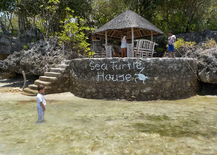 Sea Turtle House Moalboal Hotel