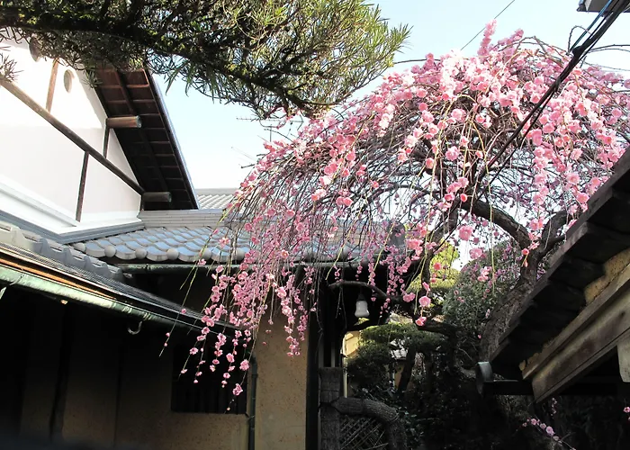 Guesthouse Nara Backpackers