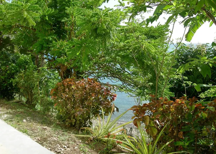 Casa Del Vega A Little Peace Of Heaven Hotel Castries