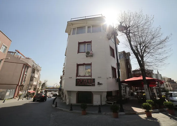 Rose Bouquets Hotel Istanbul