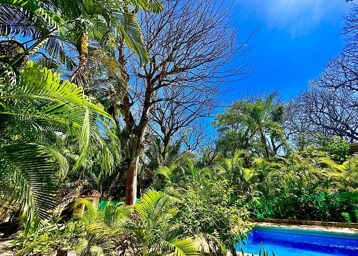 Pacifica Surf Studios Playa Santa Teresa 