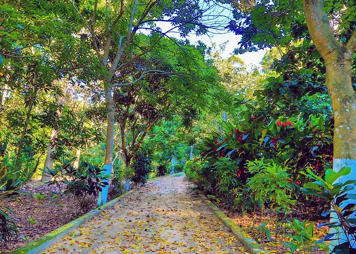 Villa Maria Tayrona, Jungle And Sea Experience Los Naranjos