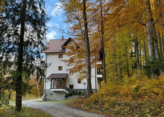 Vila Amurgului Busteni