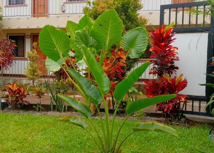 Golden Anchor Lodge Coron