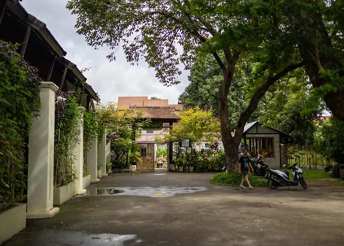 The Yard Hostel Chiang Mai