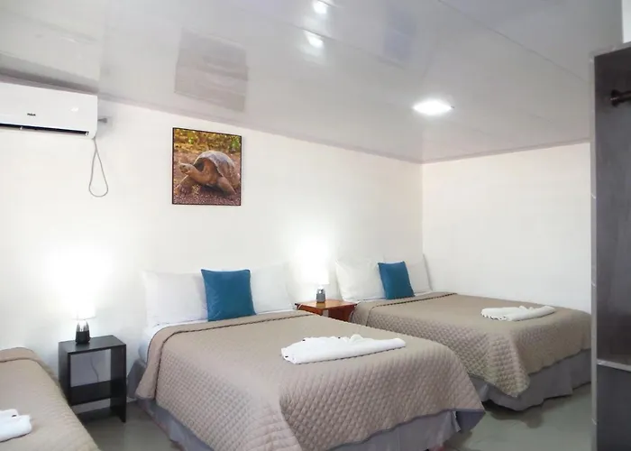 Dreams Studios & Apartments Puerto Ayora 