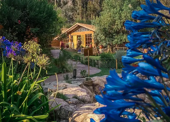 Andean Wings Valley Urubamba