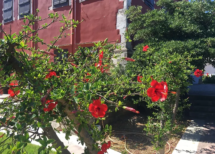 Oasis Guesthouse Chania 