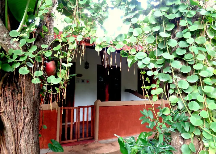 Sisira Natural Lodge - Sigiriya