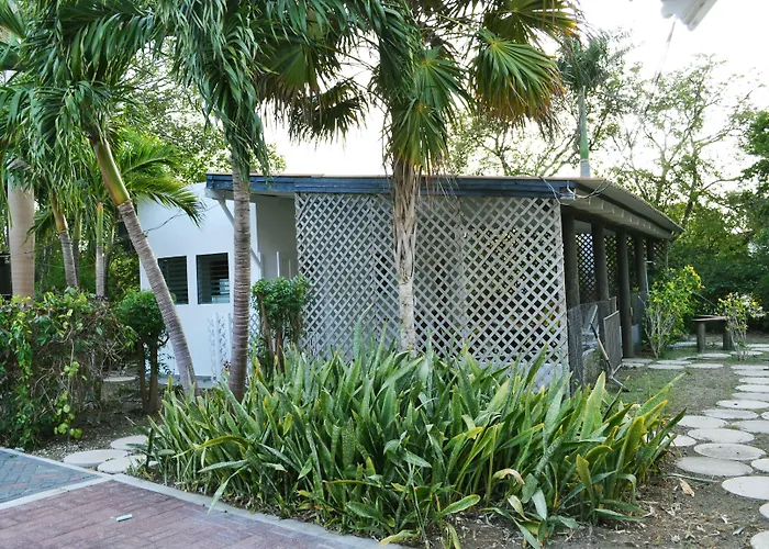 Palm Trees Apartments Willemstad