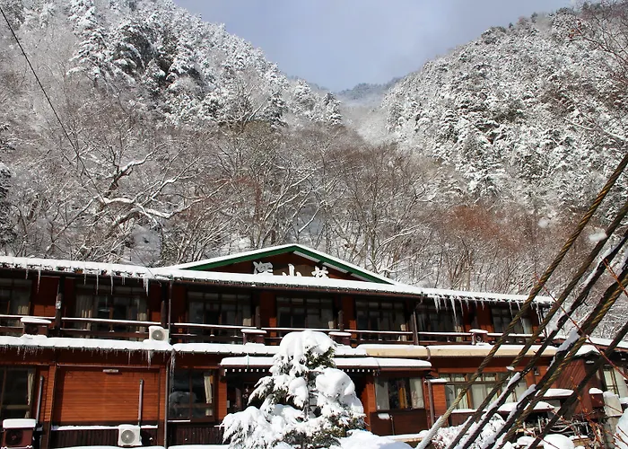 Shinzanso Hotel Takayama 