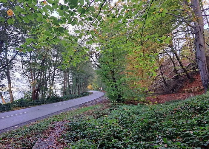 Casa Mundo Bed & Breakfast Vejle