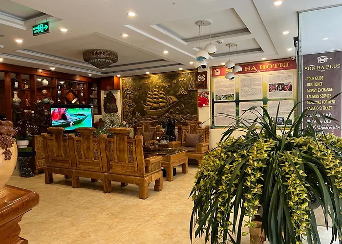 Son Ha Sapa Hotel Plus