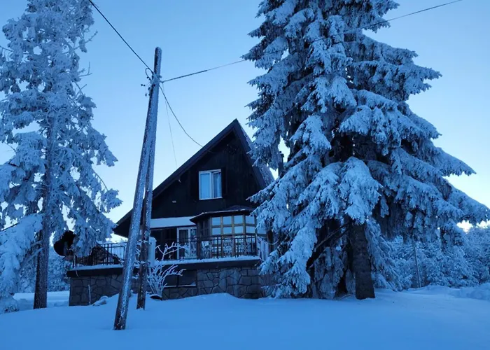 Sojka Villa Divcibare