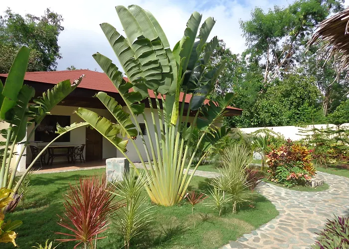 Alona Swiss Resort Panglao Island