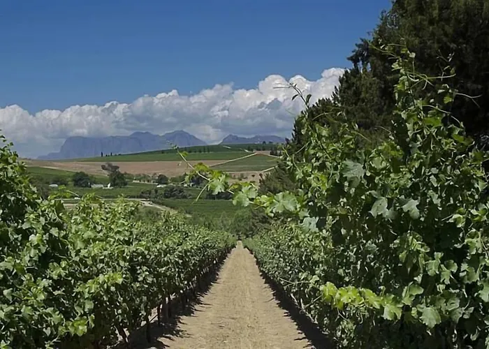Clos Malverne Wine Estate Stellenbosch