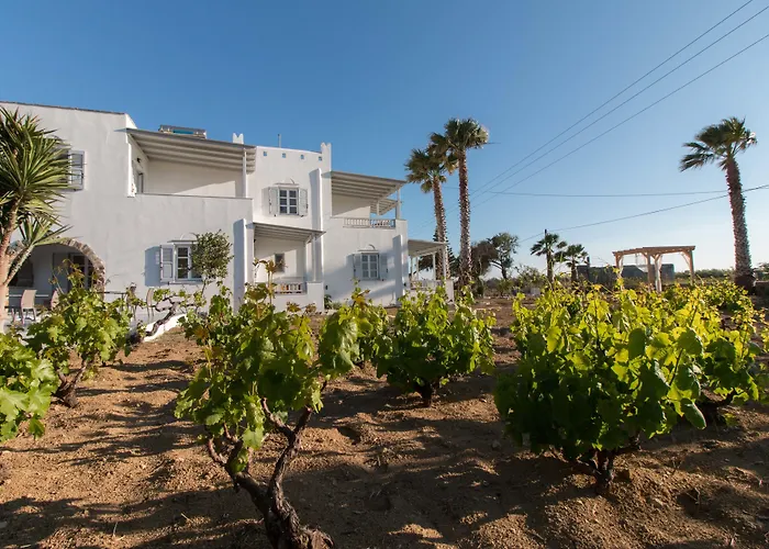 Ktima Bianco Aparthotel Naxos City