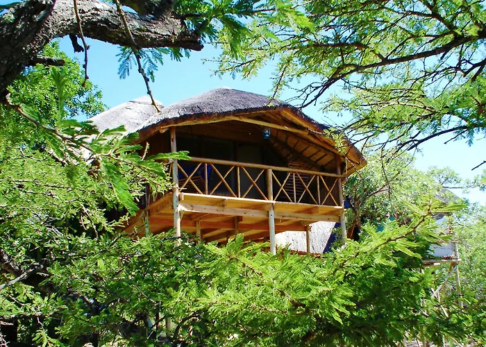 Pezulu Tree House Lodge Hoedspruit