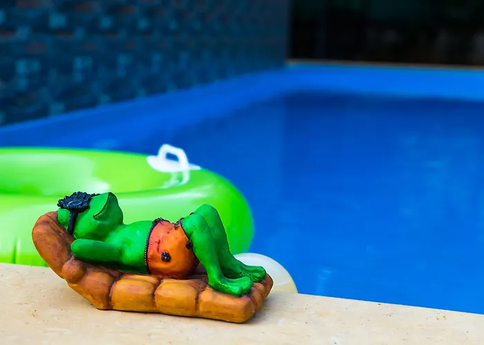 Lazy Frog Guest House Cavelossim
