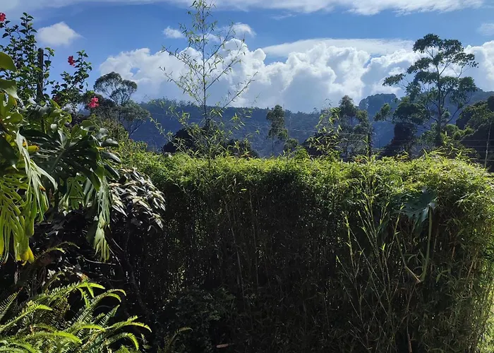 Andrews Homestay Nuwara Eliya