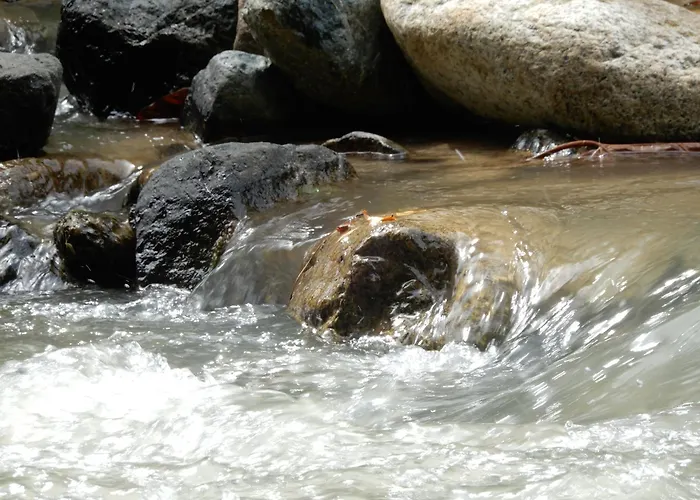 Eco Camping Jarabacoa