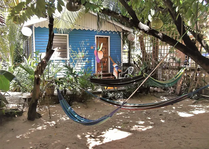 The Funky Dodo Backpackers Hostel Hopkins