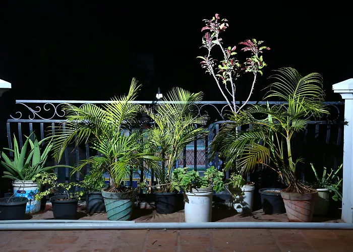 Zingle Stay Airport Hotel Chennai
