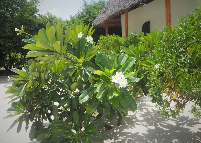 Tikitam Palms Boutique Hotel Pongwe