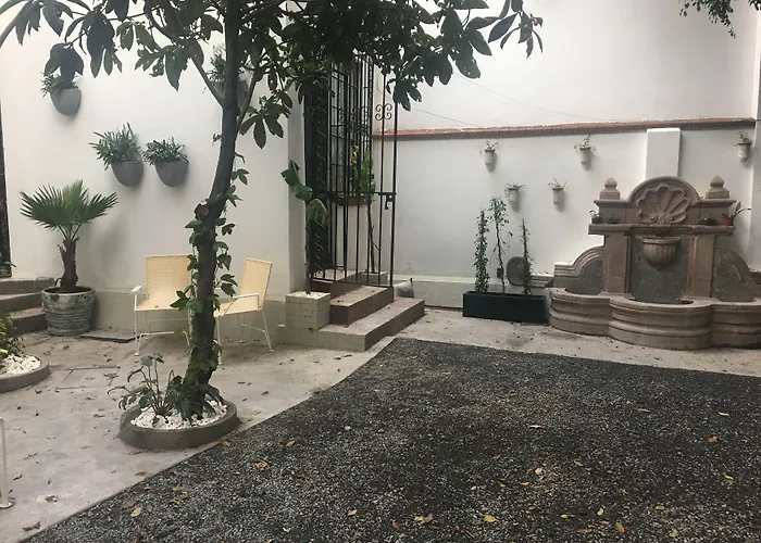 Orchid House Mexico City