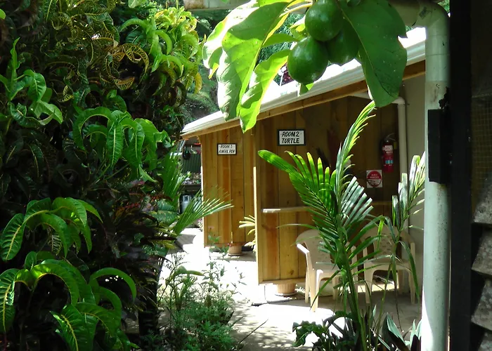 Gecko Lodge Fiji Savusavu