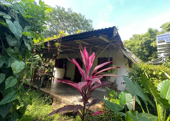 El Zopilote Hostel Balgue