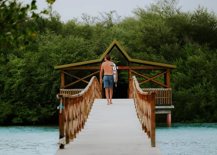 Akiri Surf Retreat Hotel Thulusdhoo