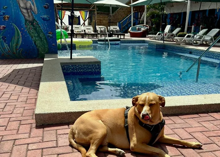 Casa Del Merman At Gaymontanita House