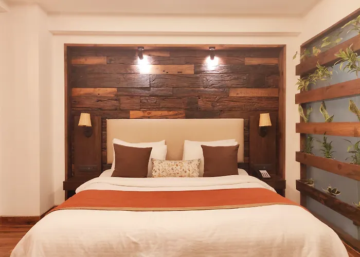 Virohaa Hotel New Delhi