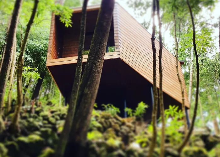 Caparica Azores Ecolodge Biscoitos 
